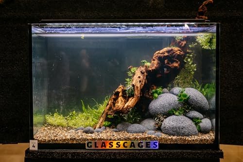 Aqua Natural Rock, Smooth Lava, 14lb