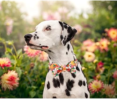 Lionheart glory Premium Floral Dog Collars, Bowtie Dog Collar, Adjustable Heavy Duty Girl Dog Collar with Bow for XLarge Dogs