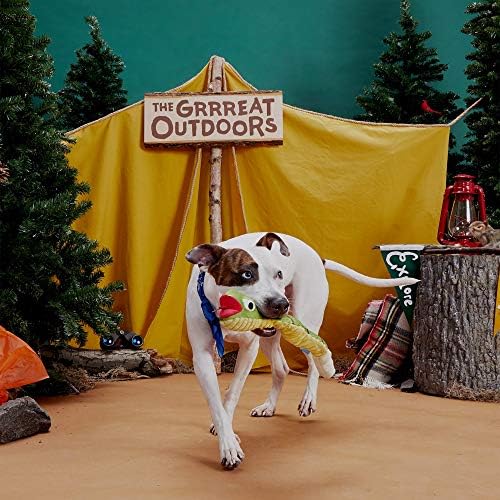BarkBox Toxic Tony