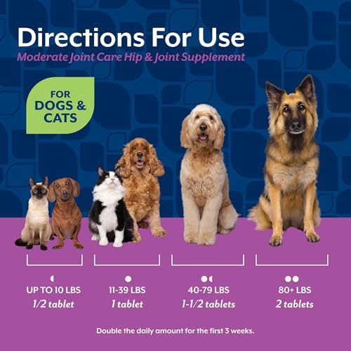 NaturVet Moderate Hip & Joint Care w/Chondroitin & MSM, Dogs & Cats, 120ct