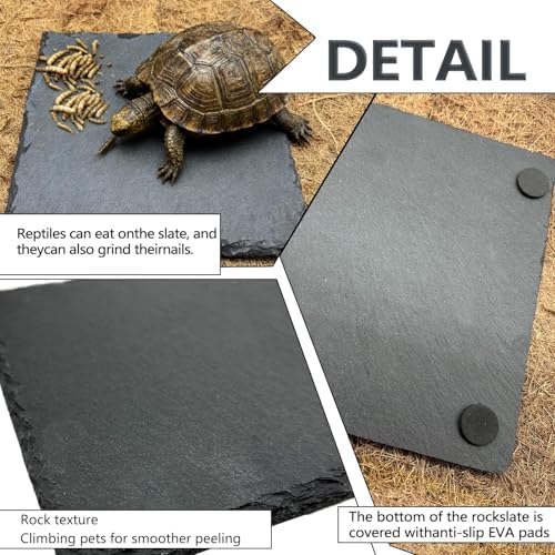 Reptile Basking Platform, 6 x 6 Inches Slate Rock, Food Bowl for Turtles