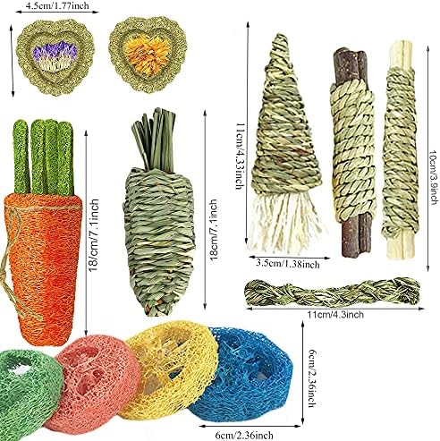 16 PCS Rabbit Toys, Hamster Toy for Molar, Loofah String Carrot Toys for Dental Health, Promote Digestion, for Best Hamster Toy Gifts