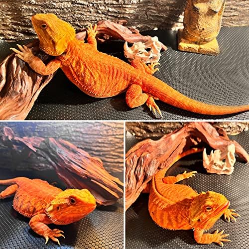 Reptile Mat 40 Gallon 1Pack 18x36, Bearded Dragon Tank Accessories, Terrarium Liner Bedding, Non-Adhesive Reptile Substrate Mat for Leopard Gecko, Snake, Lizard, Tortoise, Iguana Tank