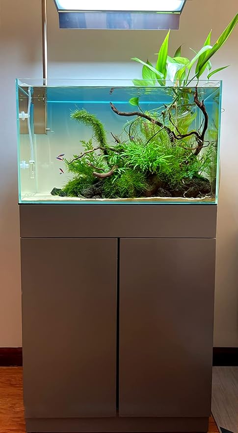 Allcolor Ultra Clear Rimless Aquarium Tank 6-60 gallons Low Iron Glass (21Gal - Top Glass Canopy)