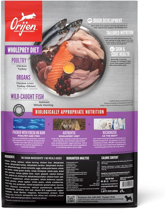 ORIJEN Grain Free High Protein Dry Dog Food Puppy Large Recipe 13lb Bag