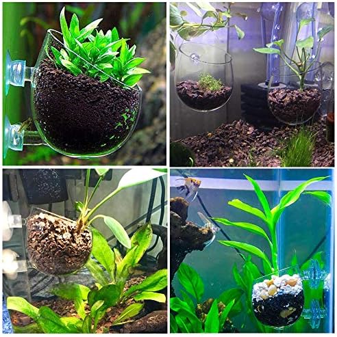 capetsma 2X Crystal Glass Aquatic Plant Pot, Planter, Red Shrimp Live Plants Fish Tank Holder with 4X Suction Cups for Aquarium Aquascape Decoration…