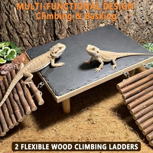 Bearded Dragon Basking Platform with Climbing Ramp,Reptile Basking Rock,L