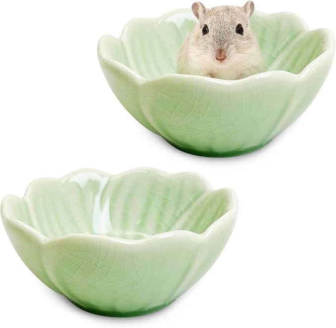 BNOSDM 2 Pcs Hamster Ceramic Food Bowl Flower Series Gerbil Drinking Bowls Anti-Turning Food & Water Dish for Dwarf Syrian Hamsters Gerbil Chinchilla(Green, Narcissus Pattern)