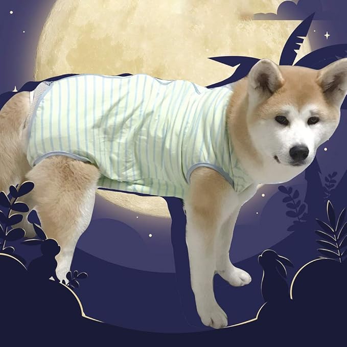 Dog’s Recovery Suit Post Surgery Shirt for Female Male Dog, E-Collar Alternative Wound Protective Clothes (Green stripe-3xl)