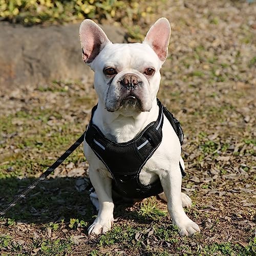 Amazon Basics No-Pull Dog Harness, Adjustable Front Clip, Escape Proof Tactical Vest, Small, Black