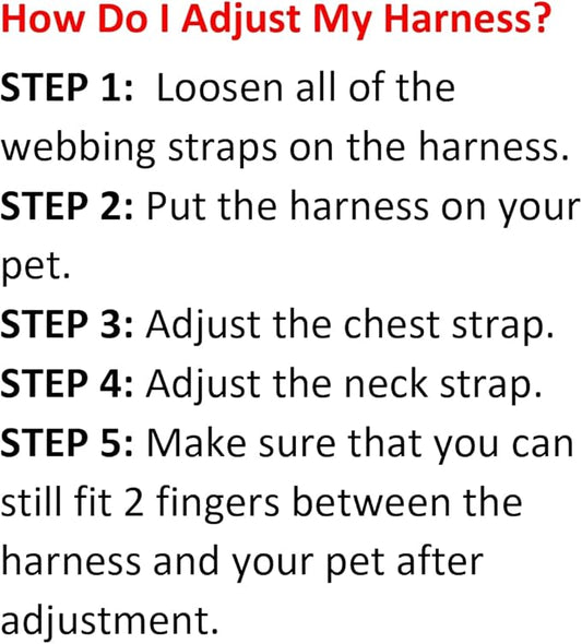 Best Pet Supplies Voyager Adjustable Step-in Flex Breathable Mesh Dog Harness for Small Medium Large Dogs Leash Set (Baby Blue), S