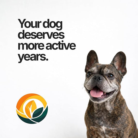 Amiquip Senior Dog Supplement – Joint Support, Cellular Vitality & Longevity for Healthy Aging – 90-Day Soft Chews with PQQ + Palmitoylethanolamide