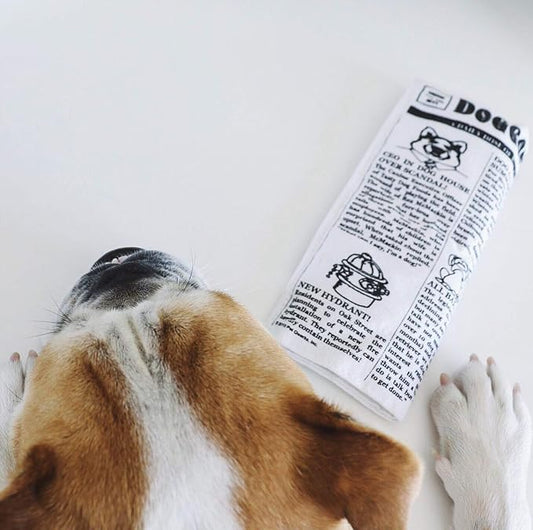 Pet Qwerks Plush Interactive Dog Toys - Newspaper Squeaker Toy - 10 in,Large Breeds (Pack of 3)