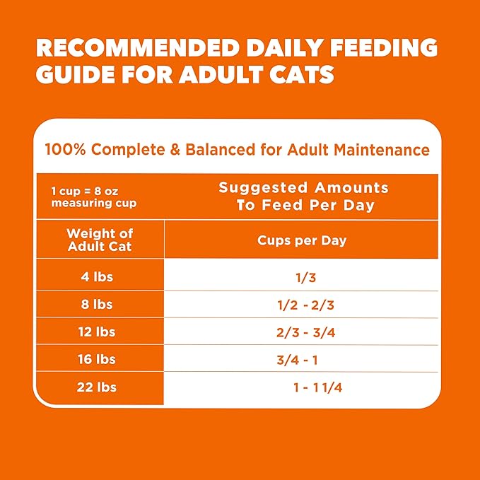 IAMS Proactive Health Dry Cat Food, Healthy Cat Food Dry Recipe for Adults, with Chicken 16 lb. Bag