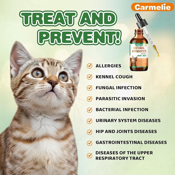 Natural Antibiotics for Cats โ Cat Antibiotics for Allergy Relief, Urinary Tract Support, Itch Relief, and Immune Support โ Promotes Urinary Tract Health โ Cat and Dog Supplemental Vitamins โ 2 fl oz
