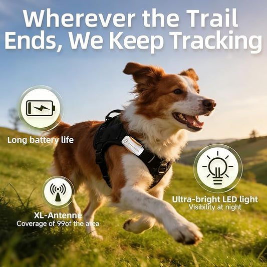 Next-Gen GPS Dog Tracker + 36-Month Plan | Real-Time Location & Escape Alerts | Health Monitoring | Waterproof | iOS & Android Compatible | for Dogs 35lbs+