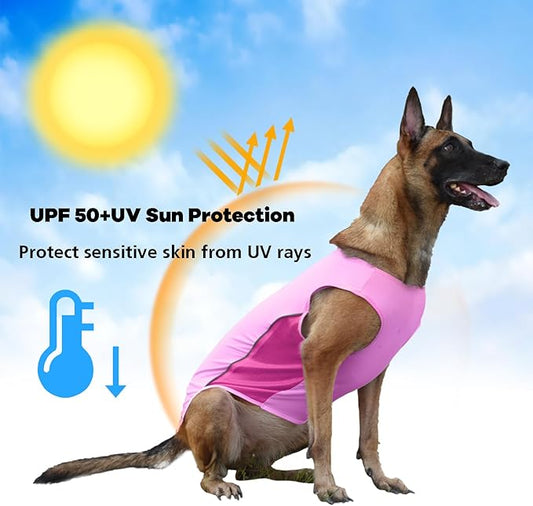 UPF 50+ Sun Protection Dog T-Shirt, 2 Pack Lightweight Sleeveless Dog Vest for Small Dogs Girl – Reflective Strips, Quick-Dry Pet Apparel, Sports Fan Shirt P23ST00504S