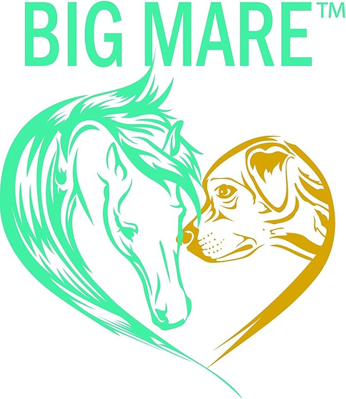 Big Mare Dog Spray | Effective On Hotspots, Yeast, Dermatitis, Staph, Ringworm, Hair Loss, & More. Antibacterial & Antifungal | Vet Approved & Recommended. (8 oz)