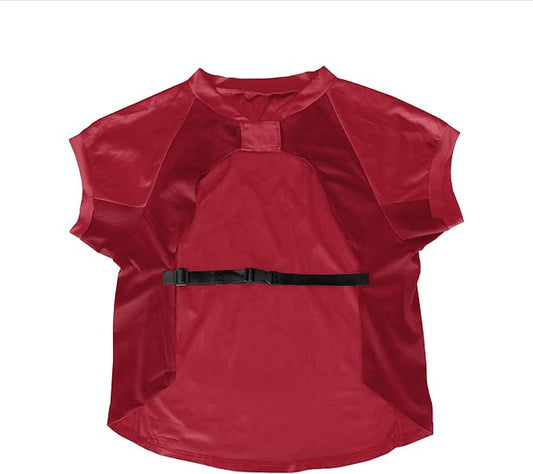 Littlearth NCAA Stretch Pet Jersey for Big Dogs