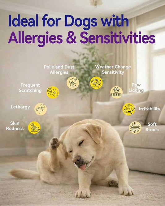 Dog Allergy Relief Chews – Seasonal Allergy Support for Dogs with Environmental Sensitivities, Immune & Gut Health Soft Chews for Allergy-Prone Dogs