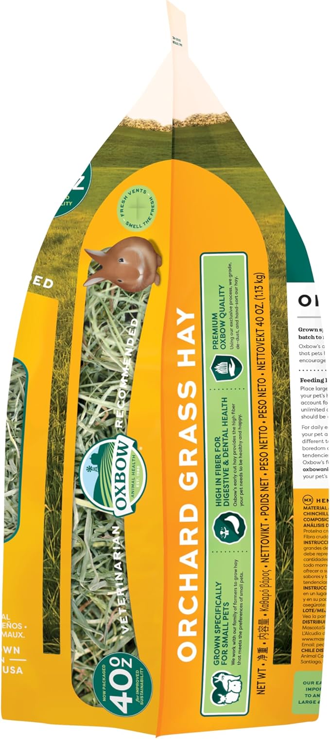Oxbow Orchard Grass Hay for Small Pets โ All-Natural Long Strand Fiber Hay for Rabbits, Guinea Pigs, Chinchillas, and Hamsters โ Supports Digestive Health and Enrichment โ 40 oz Bag