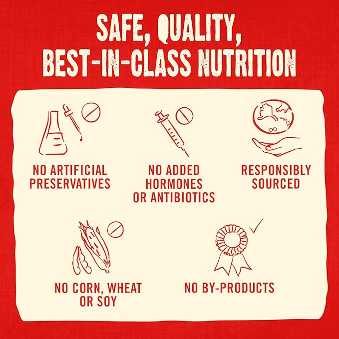 Stella & Chewy's Freeze-Dried Raw Coated Dog Biscuits โ Cage-Free Duck Recipe โ Protein Rich, Grain Free Dog & Puppy Treat โ Great Snack for Training & Rewarding โ 9 oz Bag