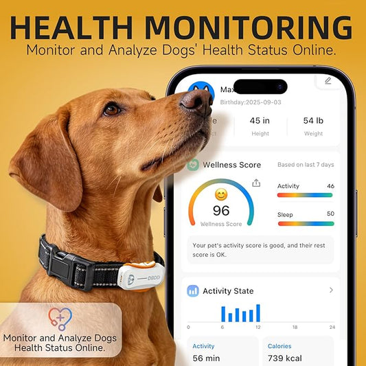 DBDD AI GPS Tracker for Dogs (30lbs+), Real Time Location and AI Health Assistant, Electronic Fence, Waterproof, iOS and Android Universal (D5-White)
