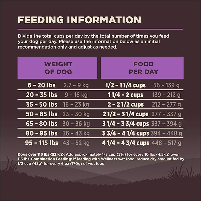 Wellness CORE Age Advantage Senior Dry Dog Food, Grain Free Kibble, Natural, High Protein, Turkey and Chicken Recipe, 12 lb Bag