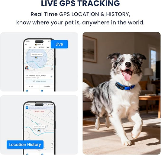 DBDD AI GPS Tracker for Dogs (40lbs+), Real Time Location and AI Health Caer Management, Electronic Fence, Waterproof, iOS and Android Universal(Black)