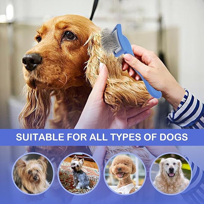 Dog Slicker Brush for Golden Doodle Grooming Kit - Dematting Brushes for Goldendoodles, Labradoodles, Poodles - Pet Hair Brush for Short & Medium Haired Dogs - Small (Blue)