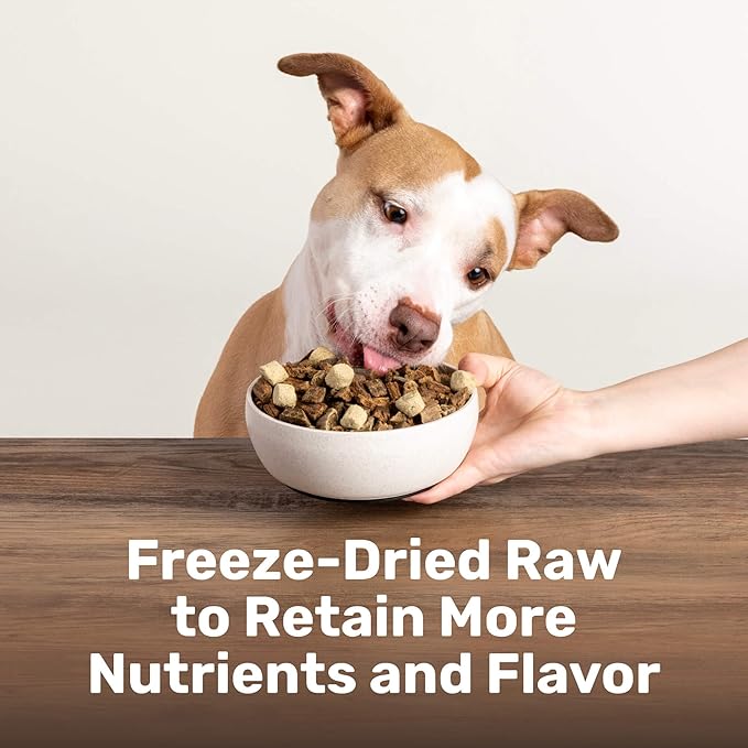 BADLANDS RANCH Superfood Nuggets – Freeze-Dried Raw Dog Treat & Food Topper, Nutrient-Dense Beef Tripe & Kale Formula, High Protein, No Artificial Additives, 8oz Bags (4-Pack Bundle)