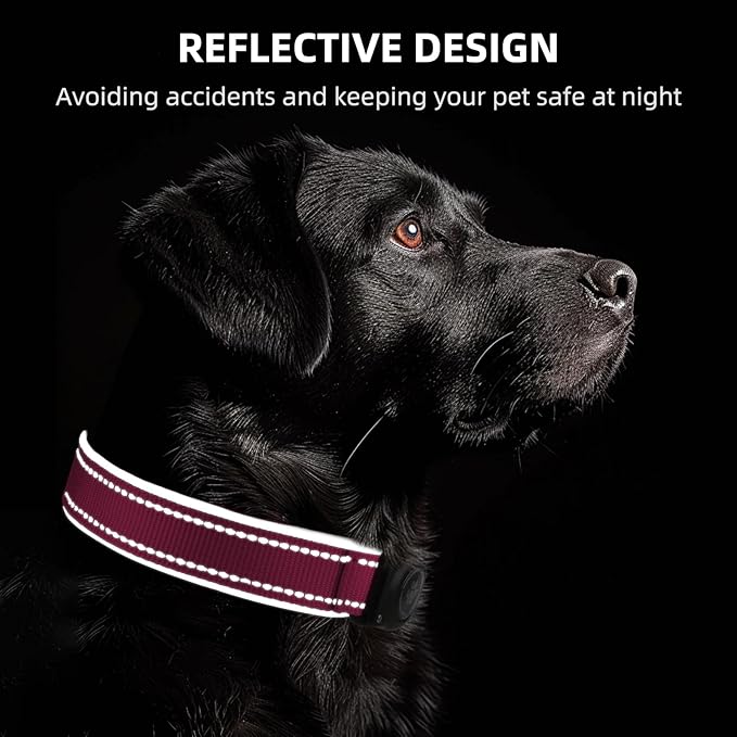 AirTag Dog Collar, IP68 Waterproof Air Tag Dog Collar Holder, Reflective, Ultra-Durable, Comfortable Padded, Heavy Duty Dog Collars for Small Medium Large Dogs (Watermelon red, XL)