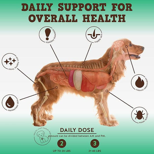 Jack&Pup Dog Allergy Chews - Bark Buddies Aller-Care Soft Chew Bites Itch Relief for Dogs & Allergy Support for Dogs - Dog Immune Supplement, Dog Skin Allergies Treatment and Anti Itch for Dogs 60ct
