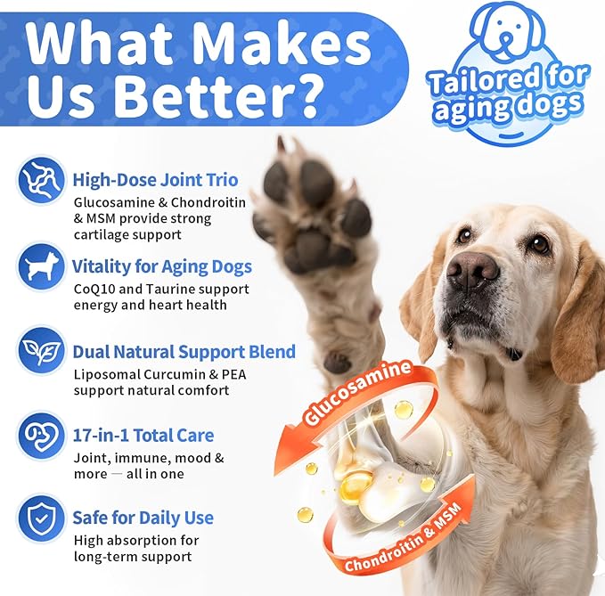 Senior Advanced Joint Supplement for Dogs β 17-in-1 Glucosamine for Dogs with Chondroitin β Hip & Joint Pain Relief Pills β Mobility Support Chews β Large & Small Breeds - Chicken Flavor β 90Ct