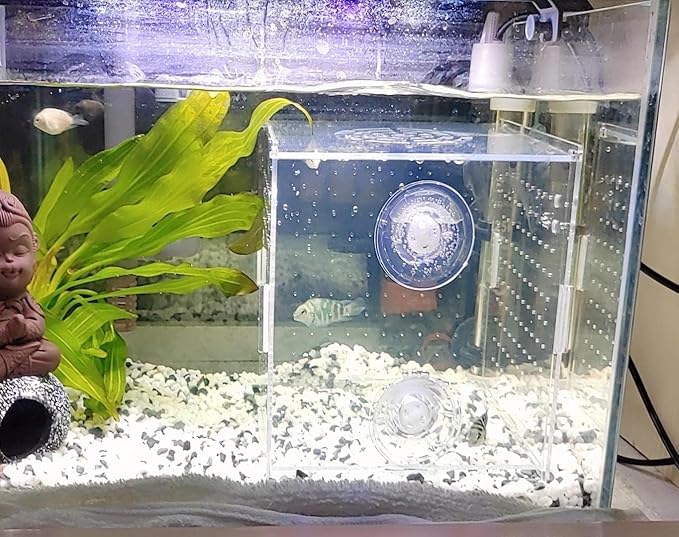 AWXZOM Acrylic Fish breeding Box, Acrylic Fish Isolation Box, Fish Separator for Aquarium, Hatchery Incubator with Suction Cups for Small Baby Fishes Shrimp Clownfish Guppy (5.9 * 5.9 * 5.9inch)