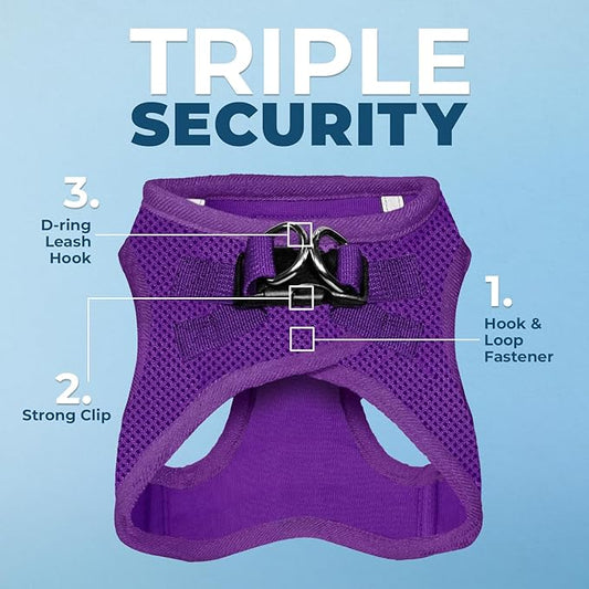 Best Pet Supplies Voyager Step-in Air All Weather Mesh Harness and Reflective Dog 5ft Leash Combo with Neoprene Handle, for Small, Medium and Large Breed Puppies - Set (Purple), Small