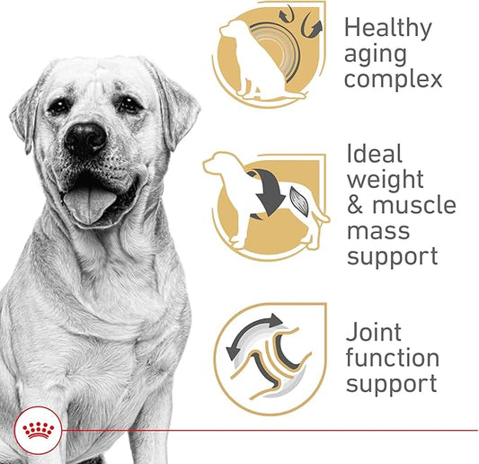 Royal Canin Breed Health Nutrition Labrador Retriever 5+ Mature Dry Dog Food, 28 lb Bag