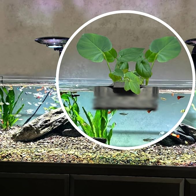 Aquarium Plant Holder,Fish Tank Plant Holder,Aquarium lid Clips,Aquarium Plant Pot,Hydroponic Fish Tank Planter, Aquatic Plant Cup for Aquascape Decorations (Black, 2PCS Rimmed+Rimless)