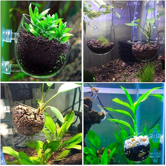capetsma 2X Crystal Glass Aquatic Plant Pot, Planter, Red Shrimp Live Plants Fish Tank Holder with 4X Suction Cups for Aquarium Aquascape Decoration…