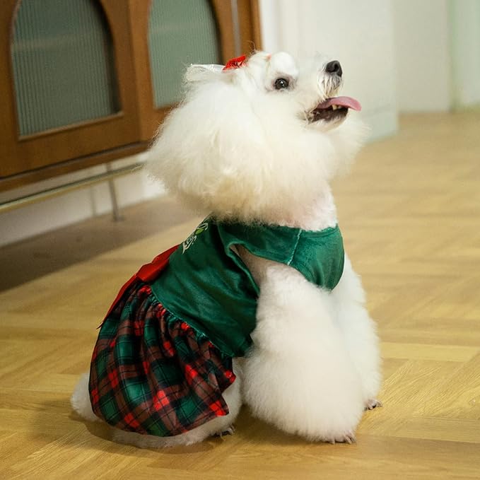 CuteBone Christmas Tree Dog Dress Velvet for Small Dogs Girl Puppy Dresses Green Plaid Dog Clothes CVA05S-D