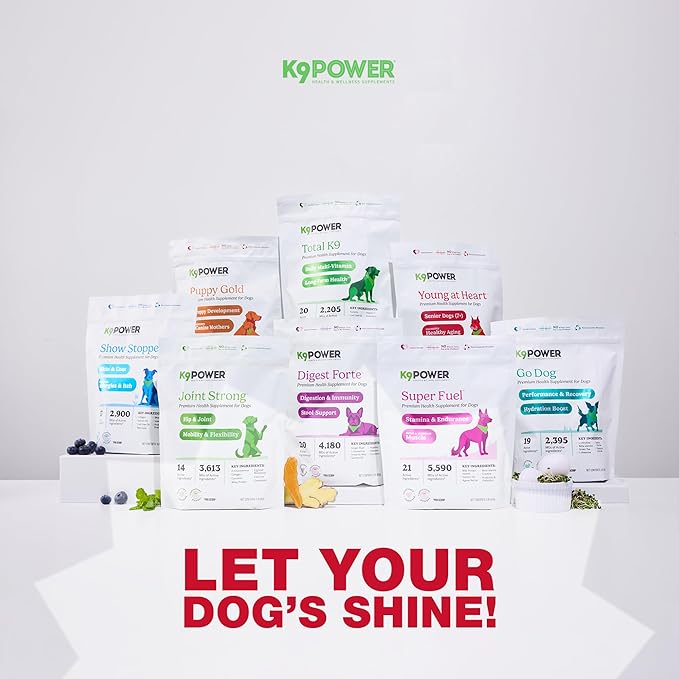 K9Power Young at Heart – Senior Dog Supplement for Longevity & Vitality – Supports Joints, Brain, Heart, Digestion, Skin & Energy – Amino Acids, Vitamins, Minerals, CoQ10, Omega 3s, Turmeric