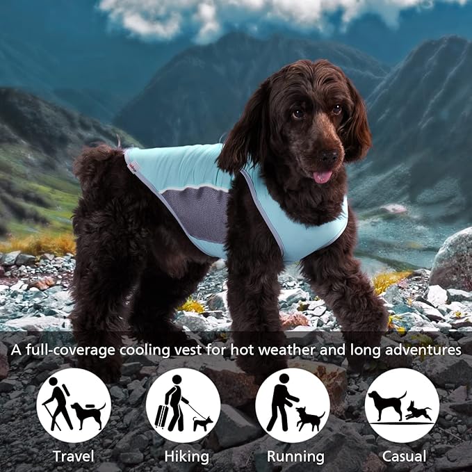 UPF 50+ Sun Protection Dog Shirt for Small Dogs - Breathable Sleeveless Vest with Reflective Strips, Sports Fan Pet T-Shirt, Lightweight UV Protective Apparel P23ST00501M