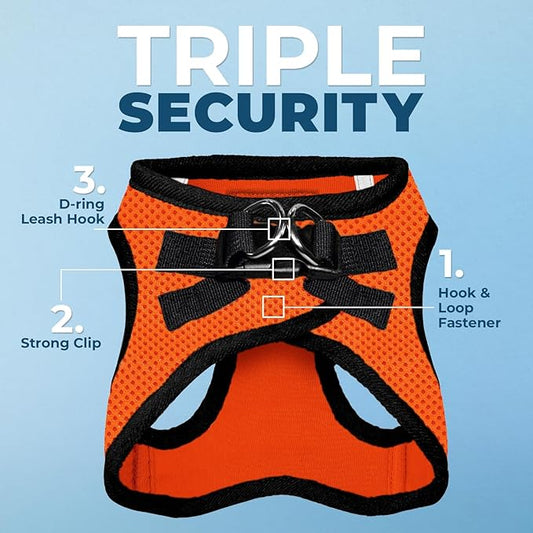 Best Pet Supplies Voyager Step-in Air All Weather Mesh Harness and Reflective Dog 5ft Leash Combo with Neoprene Handle, for Small, Medium and Large Breed Puppies - Set (Orange/Black Trim), X-Large