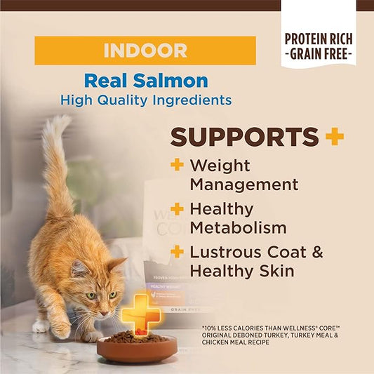 Wellness CORE+ Adult Dry Cat Food for Indoor Cats, Natural, Grain Free Kibble, Salmon and Herring Meal Recipe, 11 lb Bag