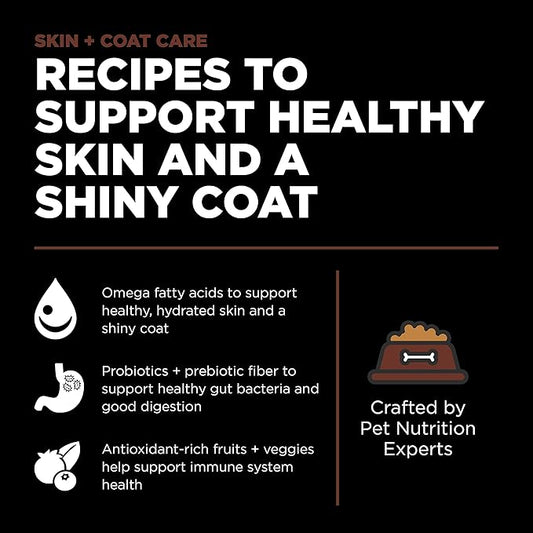 Go! Solutions Skin + Coat Care Salmon Large Breed Dry Puppy Food with Grains, Chicken-Free, Healthy Kibble for Growing Dogs, Omega-3s & 6s for Soft, Shiny Fur, 25 lb Bag