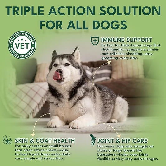 Liquid Collagen for Dogs, Natural Dog Collagen for Skin & Coat Support, Immune Support, Joint & Mobility Care with MSM, Middle-Aged and Older Dogs (Bacon Flavor - 60ml)