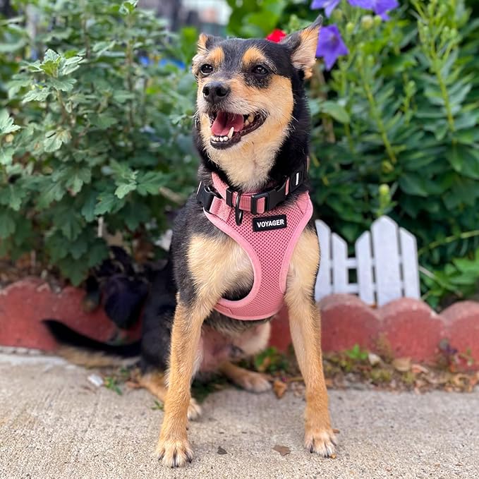 Voyager Step-in Pet Harness - All Weather Mesh, Adjustable Step in Harness for Cats and Dogs by Best Pet Supplies - Pink, S