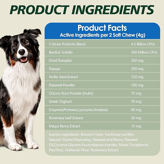 Probiotics for Dogs Gut Health, Digestion, Immunity, Relieve Diarrhea, Dog Probiotics Chews with Digestive Enzymes and Prebiotics, 200 Tablets (Chicken)