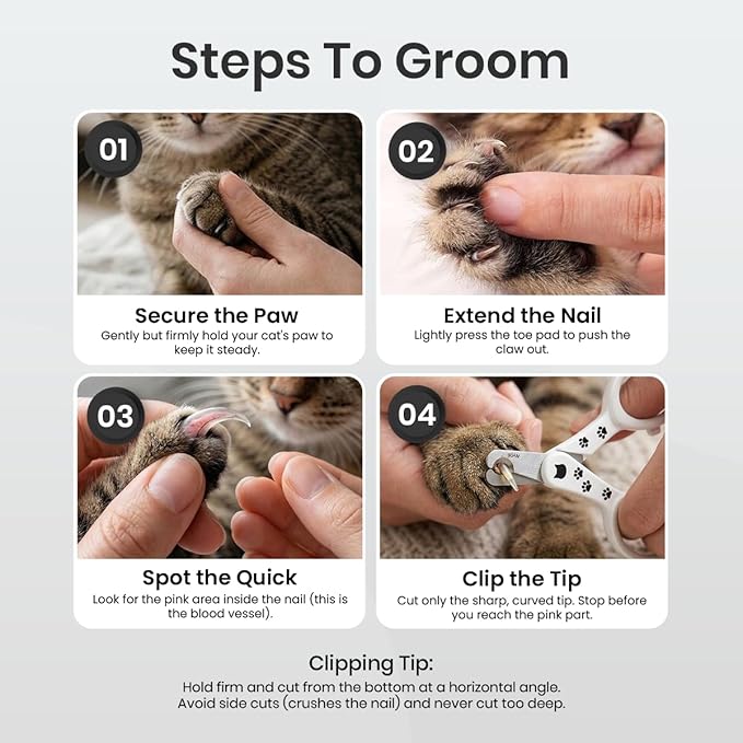 Necoichi Purrcision Feline Nail Clipper | Lever Principle Cat Nail Clipper | Butter-Smooth Cuts | Seki, Gifu Swordsmith Craftsmanship | Stainless Steel Cat Claw Trimmer for Indoor Cats (White)