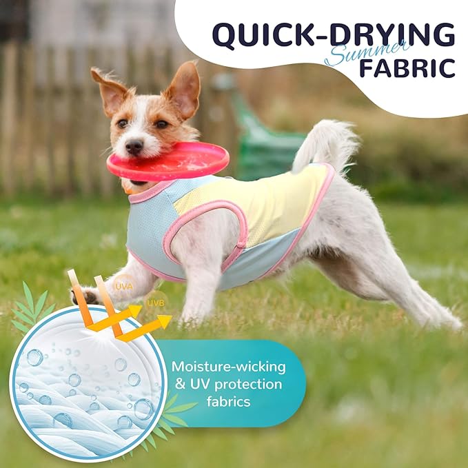 3 Pack Dog Cooling Vest with D-Ring Dog Tshirt Sun Protection Small Puppy Clothes for Girls Boys Stretchy Shirts for Dogs Lightweight Breathable Shirt French Bulldog Frenchie Dachshund Clothes